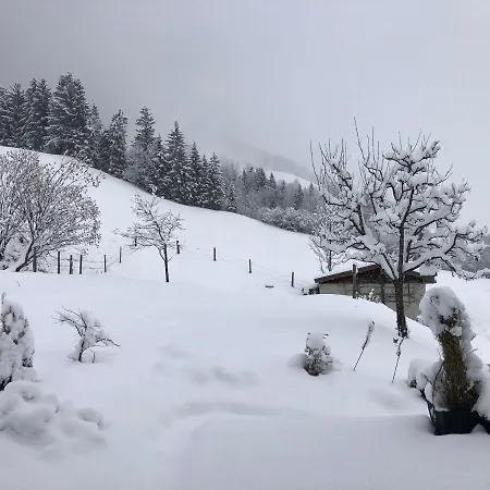 Haus Baumoos
