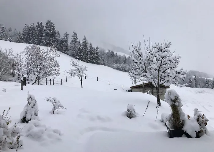 Haus Baumoos